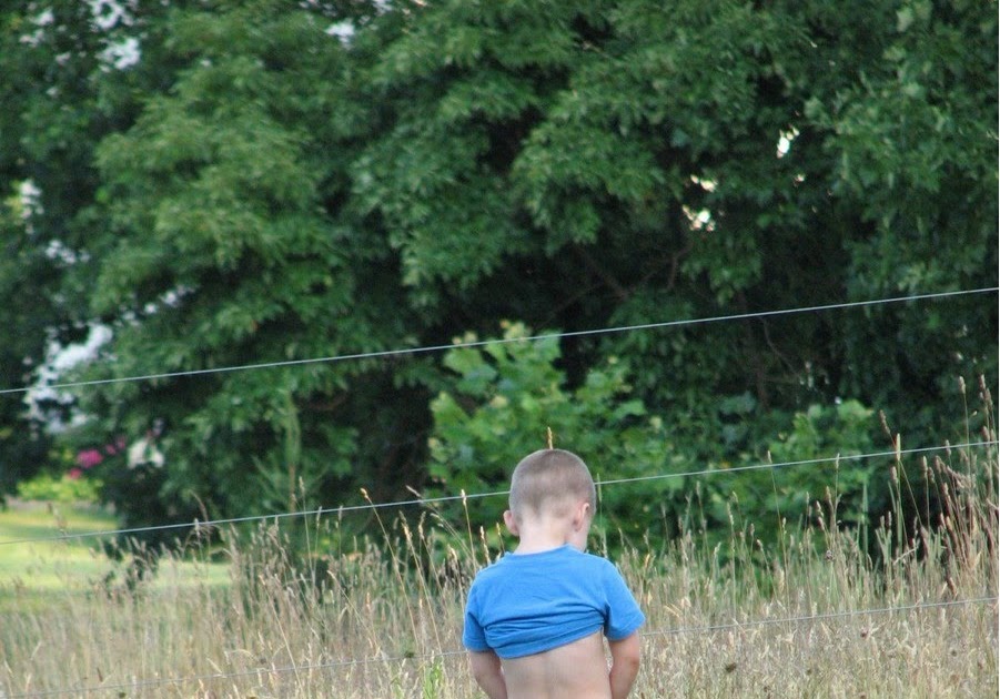 uriner cloture electrique